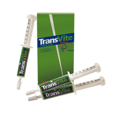 Transvite Plus Paste 3-pack