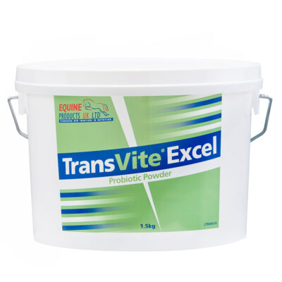 Transvite Powder 1,5 kg